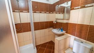 a bathroom with a shower and a sink and a toilet at Penzion Adria III in Dobrohoř +10 photos