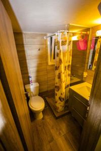 ein kleines Bad mit WC und Waschbecken in der Unterkunft Apartment Kanarian 1A in Loutraki