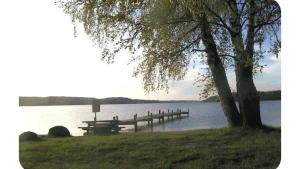 a picnic table next to a lake with a tree at Casa Peaceful in Mysen