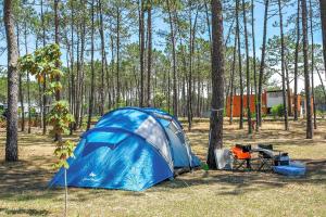 a blue tent in the middle of a forest at Cantinho da Floresta in Fontinha