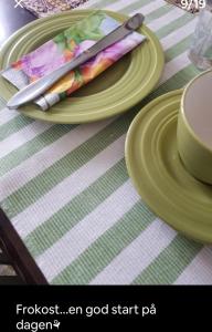 a table with two green plates and a knife at Casa Peaceful in Mysen