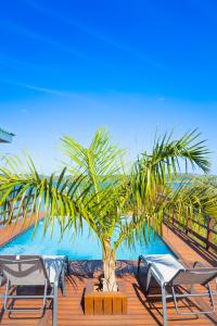a palm tree sitting on top of a wooden deck at KoKo Beach - Wooden Green House in Vila Praia Do Bilene