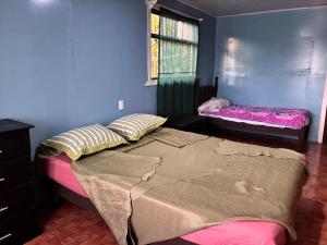 a bedroom with two beds in a room with a window at Golden Jungle Hideaway in Salado