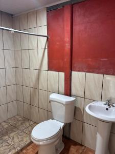 a bathroom with a toilet and a sink at Golden Jungle Hideaway in Salado +9 photos