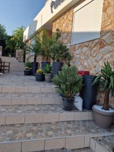 a bunch of potted plants sitting outside of a building at Errik Luxury House in Faliraki