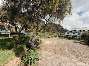 a tree in the middle of a dirt field at The Rock Hotel in Nuwara Eliya