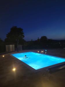 a person swimming in a swimming pool at night at Studio apartman "DJED" in Hrvatska Kostajnica