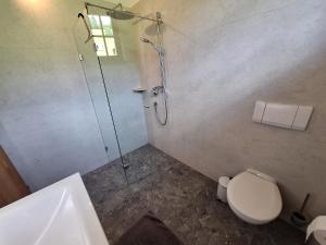 a bathroom with a shower and a toilet and a sink at Winklern Appartment Wildschütz in Kitzbühel +11 photos