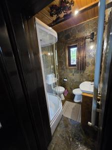 a bathroom with a tub and a sink and a toilet at Cabana Magdalena in Câmpulung