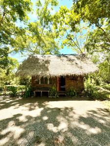 a small hut with a thatched roof in a forest at Nawala Eco-hostel in Termales - agua caliente - nuqui