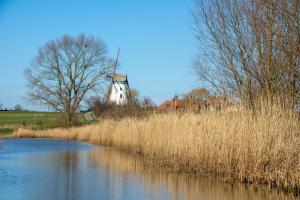 a pond with a windmill in the middle of a field at Brouckmolen in Alveringem