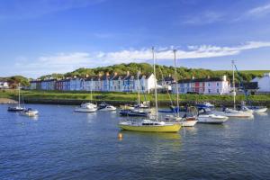 a group of boats are docked in a body of water at 2 Bed in Tregaron oc-bow289 in Tregaron