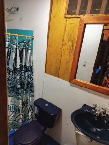 a bathroom with a toilet and a sink and a mirror at La Orquídea Cabañas in Playa Ladrilleros +27 photos