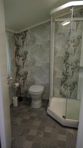 a bathroom with a toilet and a shower stall at HagestadHytteutleie Wallhall in Birkenes