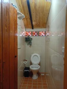 a bathroom with a toilet in a small room at Dexa Hospedagem in Ouro Preto