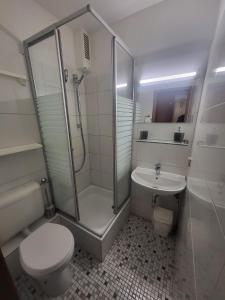 a bathroom with a shower and a toilet and a sink at Aparthotel Boardinghouse BRACK mit Parkplatz Küche WIFI in Bielefeld
