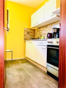 a kitchen with white appliances and yellow walls at Appartment im Schwarzwald in Furtwangen