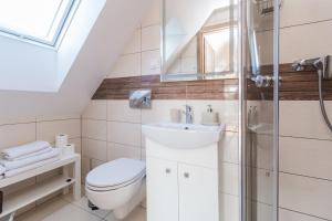 a bathroom with a toilet sink and a shower at Jantar, dom blisko plaży z sauną in Jantar +64 photos