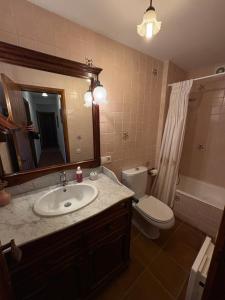 a bathroom with a sink and a toilet and a mirror at Cal Nicet in Perafita +14 photos