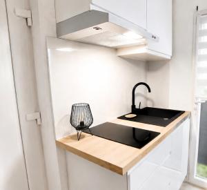 a kitchen with a black sink in a small kitchen at Duplex with private outdoor spa close to Strasbourg city center in Strasbourg