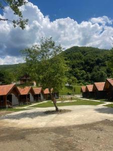 a tree in front of a row of houses at ABBA Ethno House in Gusinje