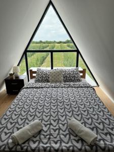 a large bed in a room with a large window at Vikendica Vukasin in Zasavica Prva