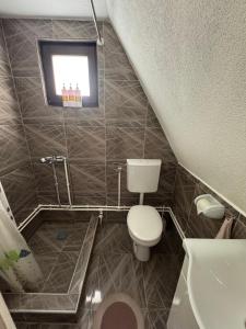 a small bathroom with a toilet and a sink at Vikendica Vukasin in Zasavica Prva