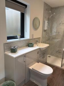 a bathroom with a toilet and a sink and a mirror at Hillview Cabin in Oban +7 photos