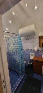 a bathroom with a blue shower curtain and a toilet at Sodyba pas Babą - namas KLASIKA in Palanga +29 photos