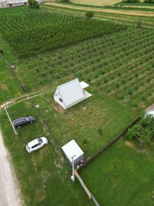 an aerial view of a farm with a car and a tent at Vikendica Vukasin in Zasavica Prva