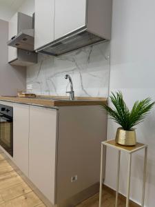 a kitchen with white cabinets and a plant on a table at FraDom House in Montesilvano