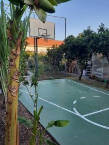 a tennis court with a basketball hoop on it at Green Oasis Retreat in Bar