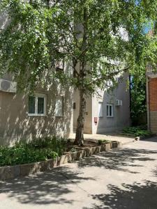 a building with a tree next to a street at Apartman Milica in Vršac