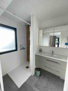 a white bathroom with a sink and a mirror at Le Nid du Bourget in Le Bourget-du-Lac