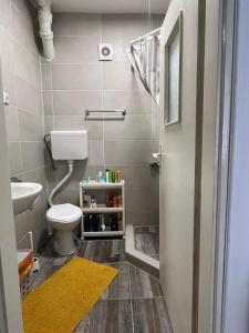 a bathroom with a toilet and a yellow rug at Apartman Milica in Vršac +18 photos