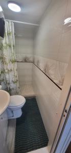 a bathroom with a toilet and a sink at Sodyba pas Babą - Apartamentai "EGLYNAS" Šventoji in Palanga +16 photos