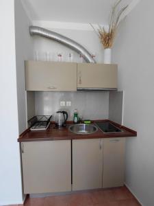 a kitchen with a sink and a counter top at Studio Marina Cape 89 in Aheloy
