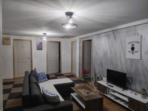 a living room with a couch and a tv at Apartman Dunav Plus in Donji Milanovac