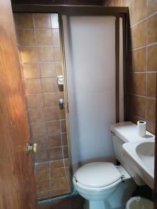 a bathroom with a toilet and a sink at Hotel 7 Rooms in Guadalajara