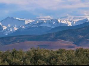 a snow covered mountain range with trees in the foreground at DAIFLAH Guesthouse & Hostel in Oulad Rguia