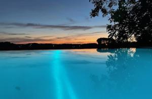 a large body of water with a tree in the foreground at Maison Lillie in Zonnebeke