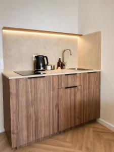a kitchen with a sink and a counter at Apartamentai-studija Palangos kopos in Palanga +11 photos