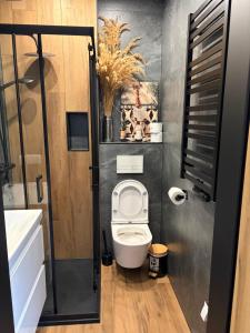 a small bathroom with a toilet and a sink at Wonderland Apartamenty in Bukowiec +51 photos
