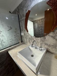 a bathroom with a sink and a mirror at Colibrí in Merlo