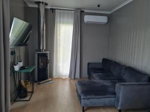 a living room with a couch and a flat screen tv at Apšuciema Birzīši in Apšuciems