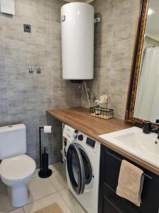 a bathroom with a washing machine and a sink at Apšuciema Birzīši in Apšuciems +5 photos