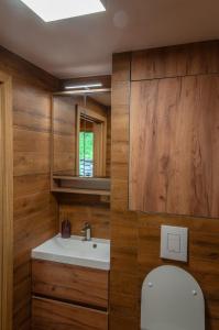 a bathroom with a sink and a toilet and a mirror at Golden Serafín - Romantic apartment below Karlštejn in Karlštejn