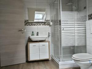 a bathroom with a toilet and a sink and a shower at Work & Stay Peine, Parkplatz, WLAN, Küche inkl in Peine