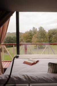 a bed in a room with a large window at Aslan Haus in Villarrica