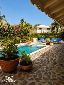 a swimming pool with potted plants on a patio at Villa 300m from beach with shared swimming pool in Las Terrenas